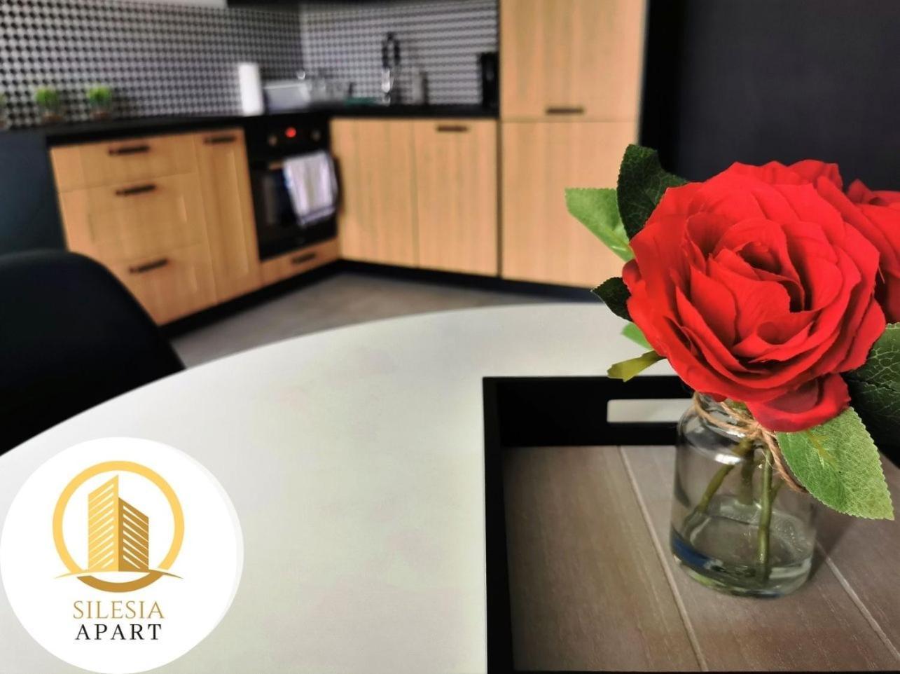 Apartament Granatowy Tychy Exteriör bild